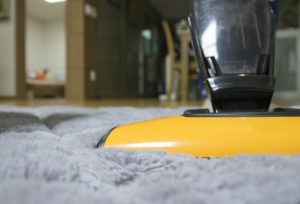 carpet cleaning ipswich